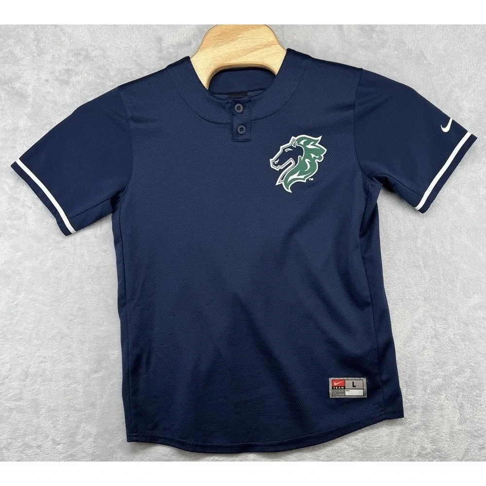 Nike Team Charlotte Knights Baseball Jersey Blue Vintage Youth Large L READ